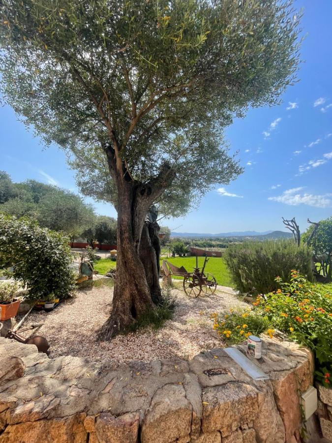 Azienda Agrituristica Contras Olbia Extérieur photo